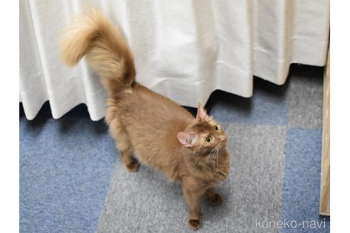 ちゃん1枚目